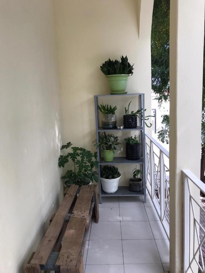 Praiadise Hostel Vila Nova Ngoại thất bức ảnh
